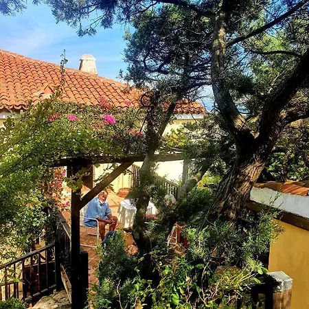 Sea View Pantogia Feriehus Porto Cervo