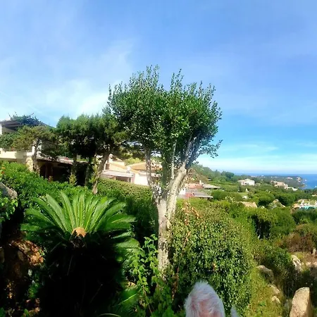 Sea View Pantogia Feriehus Porto Cervo